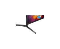 Sony KD-49XH9505 - 578568 - zdjęcie 6